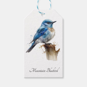 Etiquetas Para Regalos Cute Little Mountain Bluebird Watercolor, personal