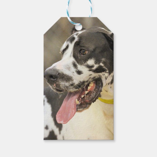 Etiquetas Para Regalos Dane (Anverso)