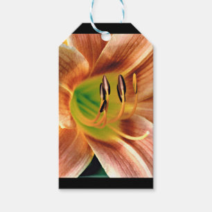 Etiquetas Para Regalos Daylily Macro