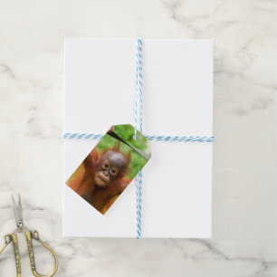 Etiquetas Para Regalos Demasiado lindo para manejar – Pequeño orangután