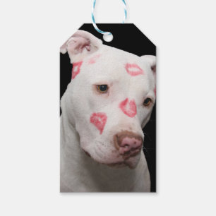 Etiquetas Para Regalos Editable Pitbull Lover