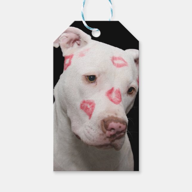 Etiquetas Para Regalos Editable Pitbull Lover (Anverso)