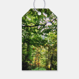 Etiquetas Para Regalos El bosque