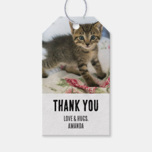 Etiquetas Para Regalos El gatito de la taberna cúrcuma parece sorprendido