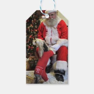 Etiquetas Para Regalos Él no tiene que esperar más de largo