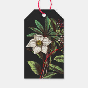 Etiquetas Para Regalos Elegante Navidades botánicos de época Rosa Flor