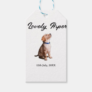 Etiquetas Para Regalos encantador nombre de mascota fecha foto barra bebi