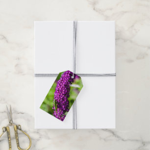 Etiquetas Para Regalos energía katydid