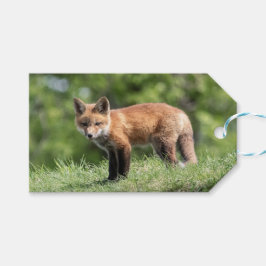 Etiquetas Para Regalos Equipo del Fox rojo