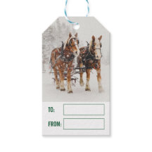 Escena de los Navidades de Sleigh Drawn