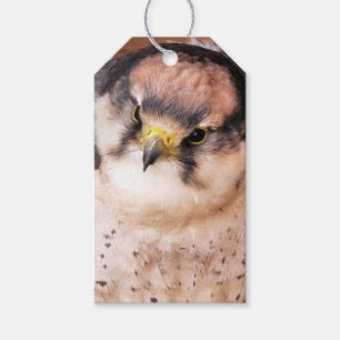 ETIQUETAS PARA REGALOS FALCON