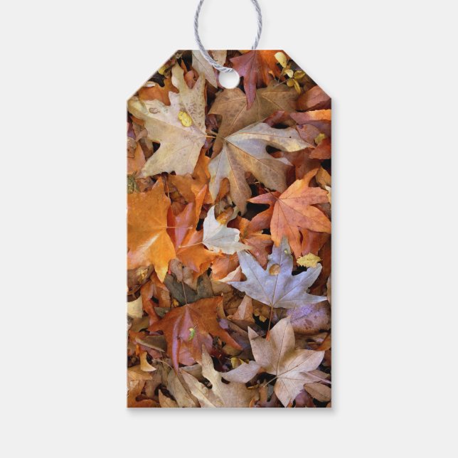 Etiquetas Para Regalos Fall Leaf (Anverso)