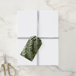 Etiquetas Para Regalos Fern Fronds II Naturaleza verde oscura