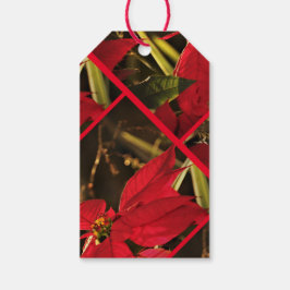 Etiquetas Para Regalos Festividad de los Navidades de Poinsettia con etiq