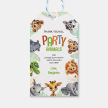 Fiesta de Cumpleaños Safari Animales Divertidos Gr