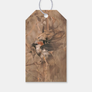 Etiquetas Para Regalos Fiesta de jubilación de observador de aves diverti