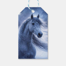 Fiesta de Navidad Caballo Bonito en la Noche