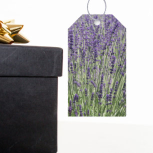 Etiquetas Para Regalos Flor de lavanda morada floral