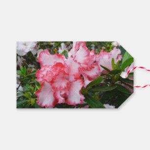 Etiquetas Para Regalos Flor de primavera de Azaleas doble roja y blanca