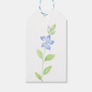 Etiquetas Para Regalos Flor perwinkle acuarela