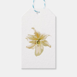 Etiquetas Para Regalos Flor real de lirio amarillo.