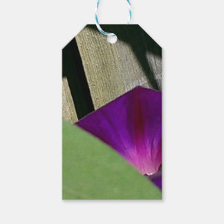 Etiquetas Para Regalos Floral