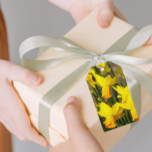 Etiquetas Para Regalos Floral de primavera amarilla