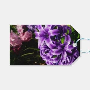 Etiquetas Para Regalos Floral de primavera azul Hyacinin II