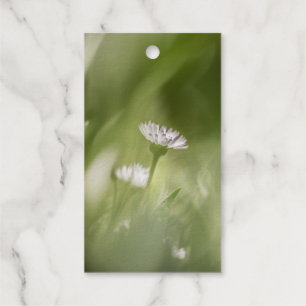 Etiquetas Para Regalos Foto de Daisy Nature