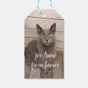 Etiquetas Para Regalos Foto de gato gris