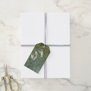 Etiquetas Para Regalos Foto de la naturaleza de la losa cubierta de agua
