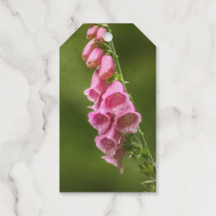 Etiquetas Para Regalos Foto de la naturaleza floreciente de las flores