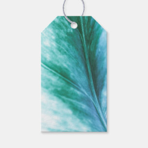 Etiquetas Para Regalos Foto verde de hoja turquesa