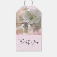 Fotografía de Apple Blossom Gracias