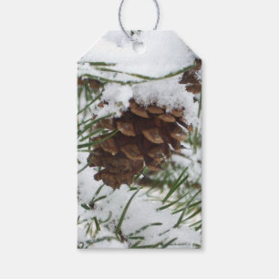 Etiquetas Para Regalos Fotografía de la naturaleza de la nieve de Pine Co