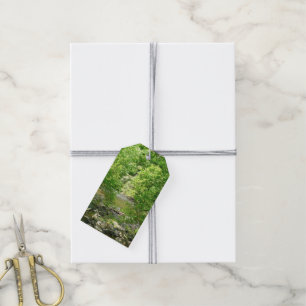 Etiquetas Para Regalos Fotografía de la naturaleza de Maryland con vistas