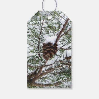 Etiquetas Para Regalos Fotografía de la naturaleza del invierno de Snowy