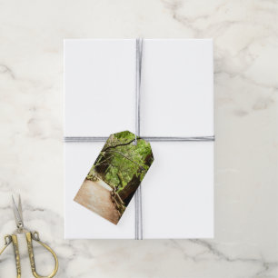 Etiquetas Para Regalos Fotografía de la Naturaleza del Sendero de Muir Wo