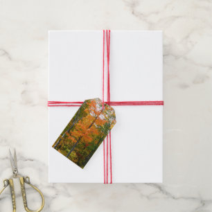 Etiquetas Para Regalos Fotografía de la naturaleza otoñal en árboles de a