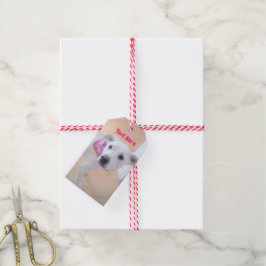 Etiquetas Para Regalos Fotografía de un dulce lechoso perro picante blanc