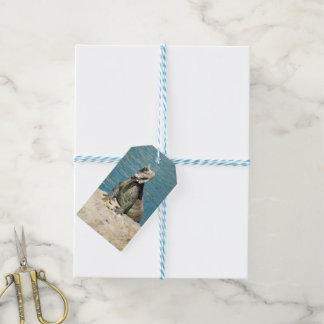 Etiquetas Para Regalos Fotografía de vida salvaje tropical de Iguana en S