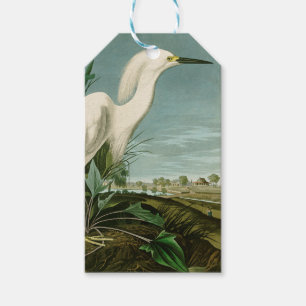 Etiquetas Para Regalos Garza Blanca de Audubon Ave Birding