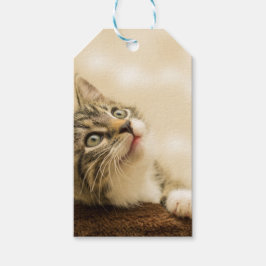 Etiquetas Para Regalos Gatito lindo con una pata al aire libre