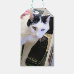 Etiquetas Para Regalos Gato