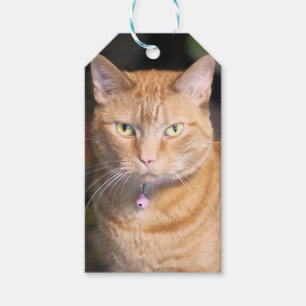 Etiquetas Para Regalos Gato