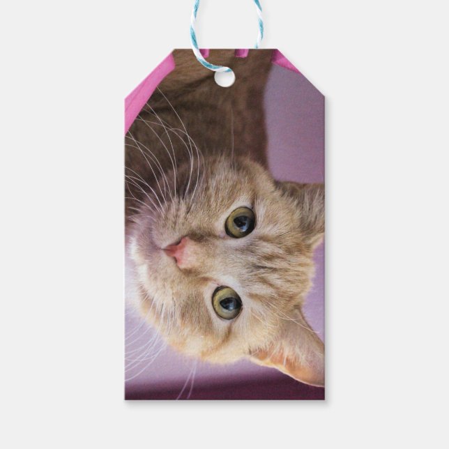 Etiquetas Para Regalos Gato (Anverso)