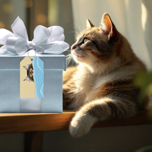 Etiquetas Para Regalos Gato de Tabby Peeking Blue Funny