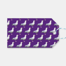 Gaviota de pie vibrante – Ave costera púrpura