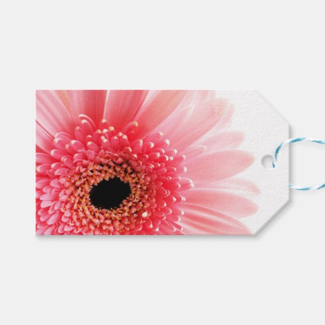 Etiquetas Para Regalos Gerbera Daisy Poster (Frente (Horizontal))