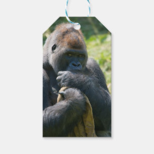 Etiquetas Para Regalos Gorila De Silverback Y Su Mapa